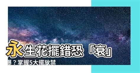 永生花會影響風水|【永生花 風水】永生花擺錯恐「衰」爆？掌握5大擺放禁忌，轉運。